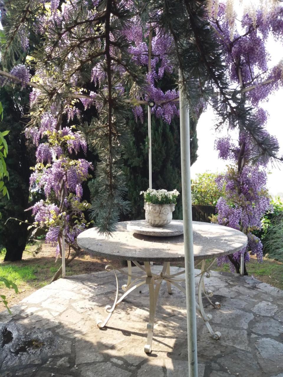 Novecento B&B Bollengo 외부 사진