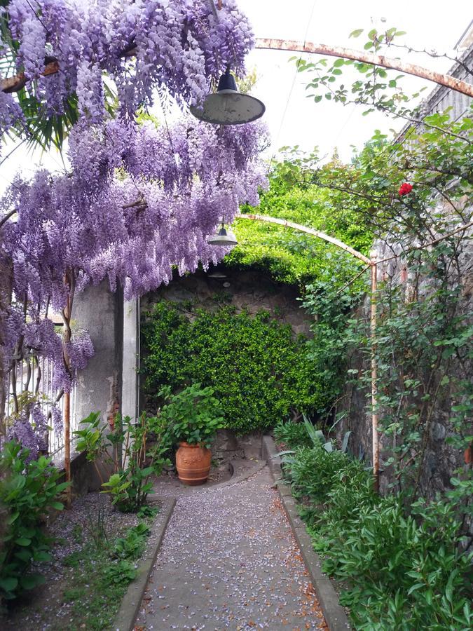 Novecento B&B Bollengo 외부 사진