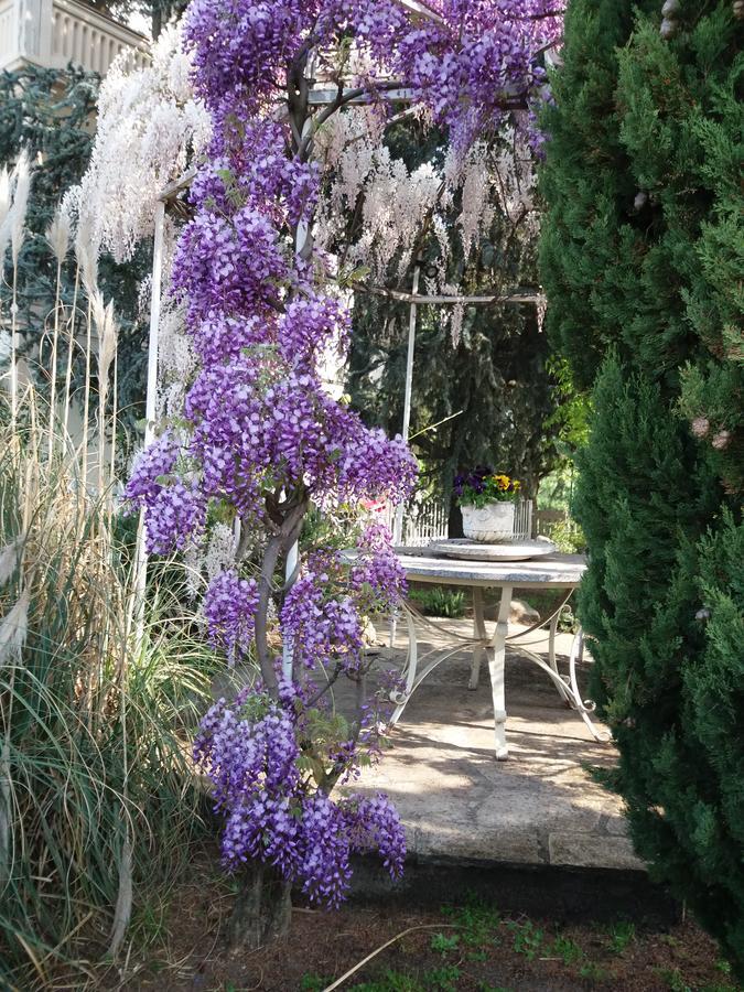 Novecento B&B Bollengo 외부 사진