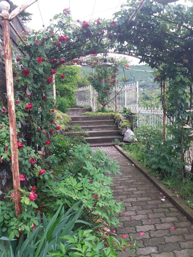 Novecento B&B Bollengo 외부 사진