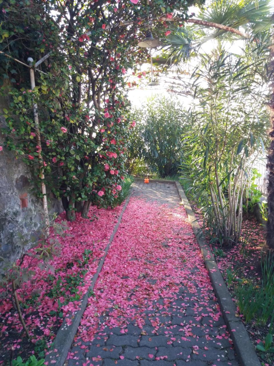 Novecento B&B Bollengo 외부 사진